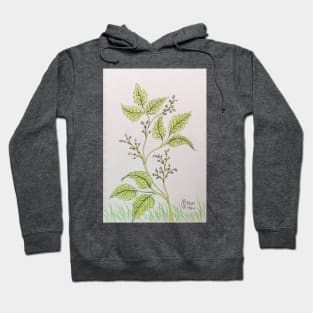 Leaves of three, let it be Hoodie